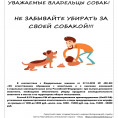 Требования к выгулу домашних животных