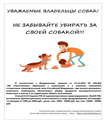 Требования к выгулу домашних животных