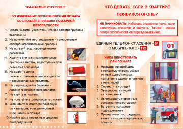 О проведении дополнительных профилактических мероприятий